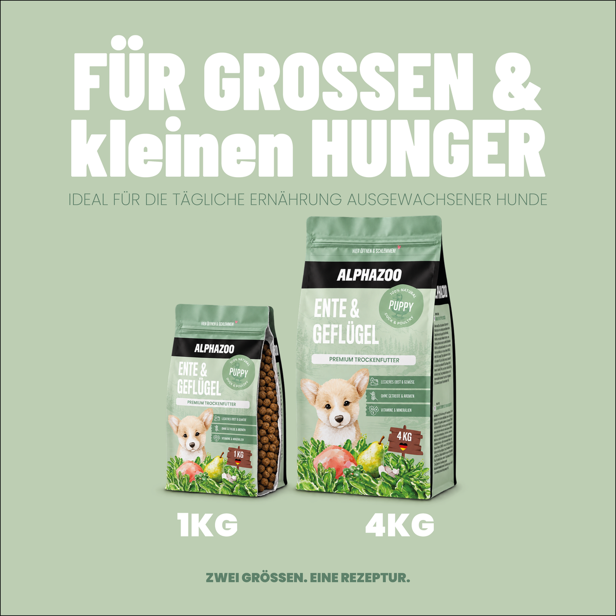 Welpen Trockenfutter Ente / Geflügel