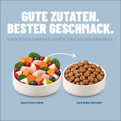 Welpen Trockenfutter Lachs / Geflügel