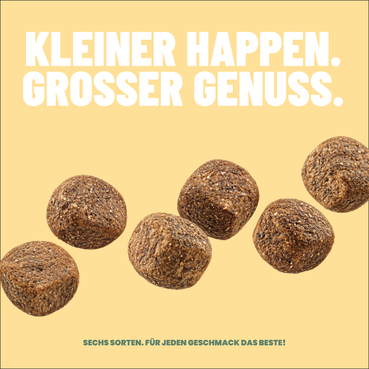 Probierpaket Trockenfutter 1kg