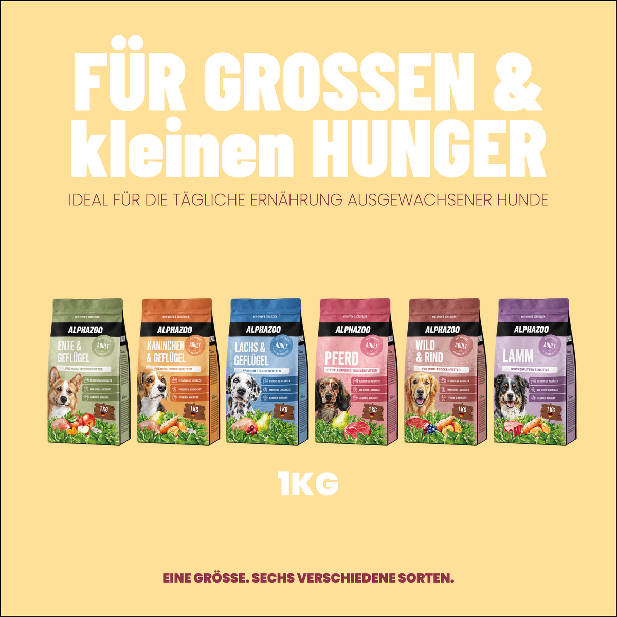 Probierpaket Trockenfutter 1kg