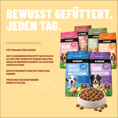 Probierpaket Trockenfutter 1kg