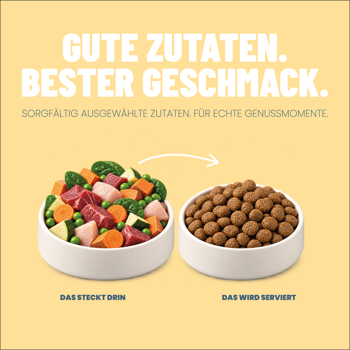 Probierpaket Trockenfutter 1kg