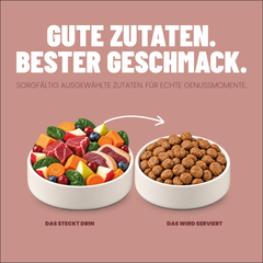 Adult Trockenfutter Wild / Rind