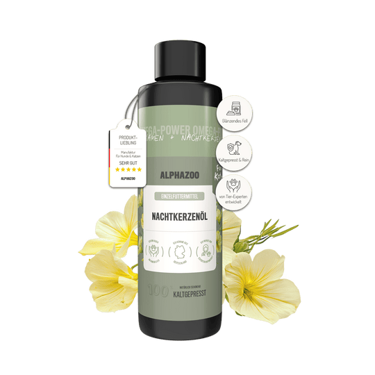 Nachtkerzenöl für Katzen