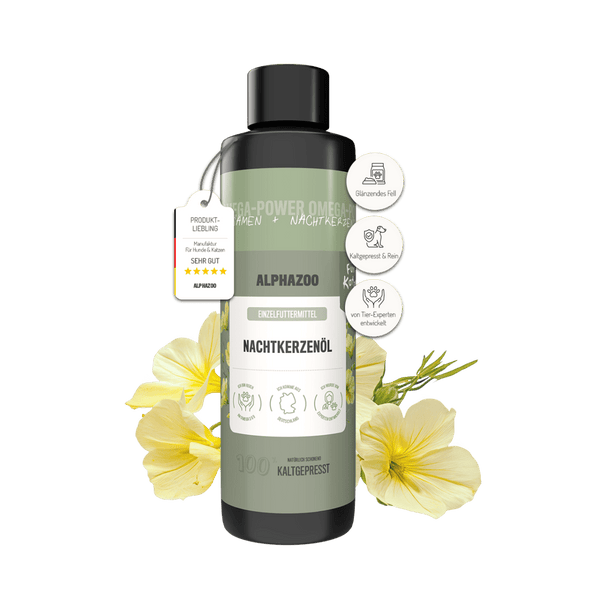 Nachtkerzenöl für Katzen