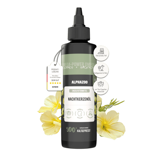 Evening primrose oil for dogs