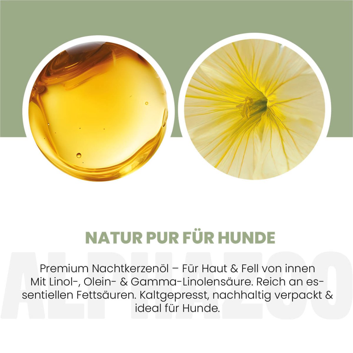 Evening primrose oil for dogs Evening primrose oil for dogs - natural care from within for coat & skin