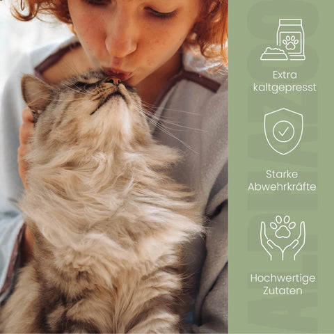 Nachtkerzenöl für Katzen