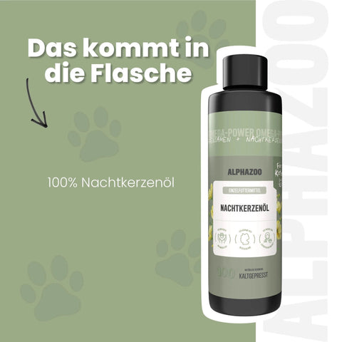 Nachtkerzenöl für Katzen