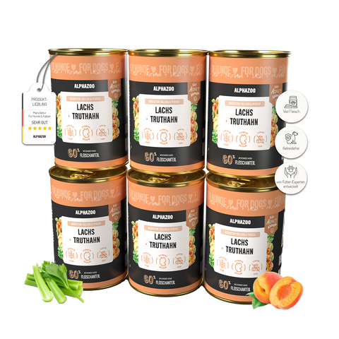 Lachs + Truthahn Nassfutter für Adult Hunde