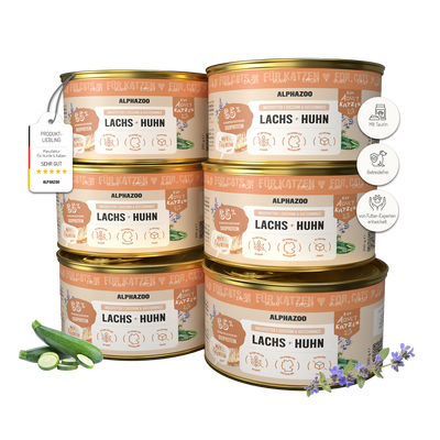 Lachs + Huhn Nassfutter für Katze