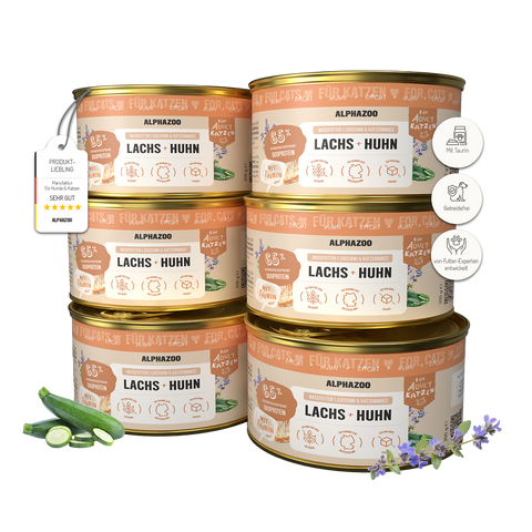 Lachs + Huhn Nassfutter für Katze