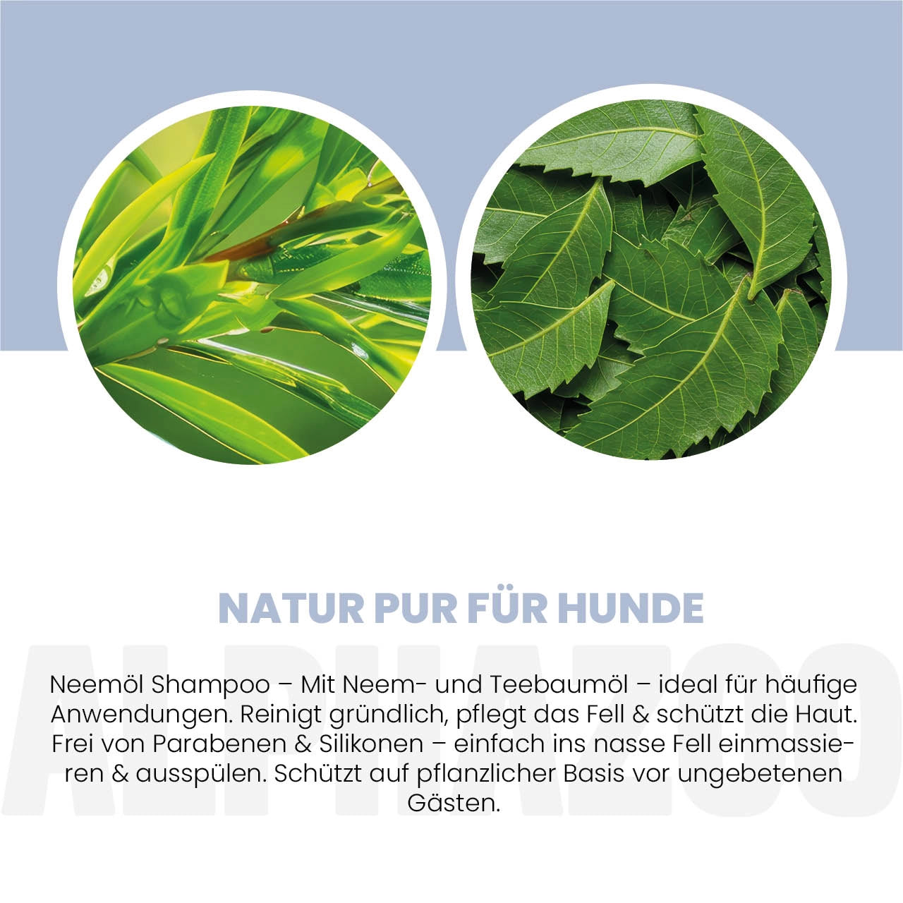 Neemöl Shampoo für Hunde