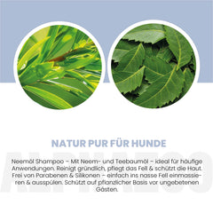Neemöl Shampoo für Hunde