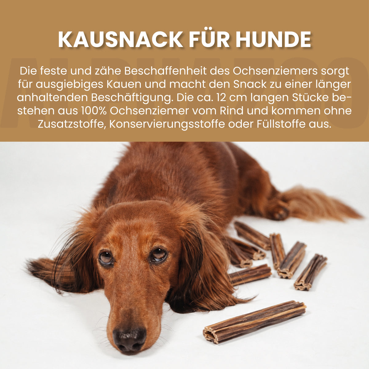 Ochsenziemer
