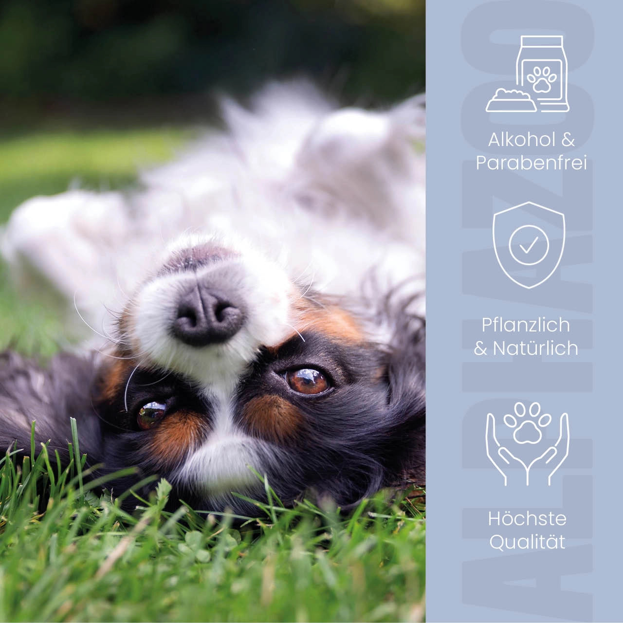 
                      Ear mite oil 100ml for dogs & cats I Strong remedy against ear mites Ear mite oil for dogs - care for sensitive dog ears, unattractive to mites.
                      