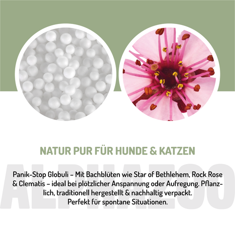 Panic Stop Bach Flowers 15g for Dogs & Cats I Rescue Drops Globules Panic-Stop Bach Flower Remedies – gentle support for anxiety and stress