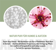 Panik Stop Bachblüten