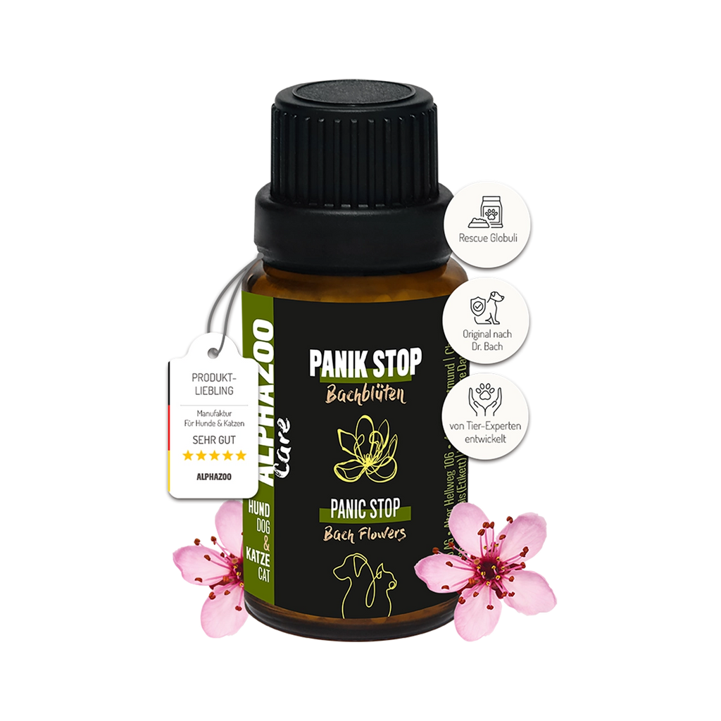 Panik Stop Bachblüten