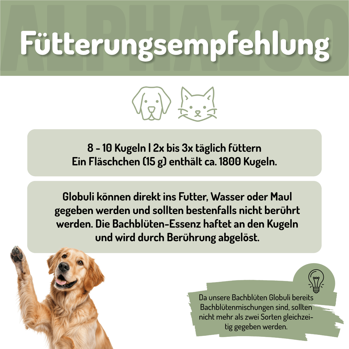 Panic Stop Bach Flowers 15g for Dogs & Cats I Rescue Drops Globules Panic-Stop Bach Flower Remedies – gentle support for anxiety and stress