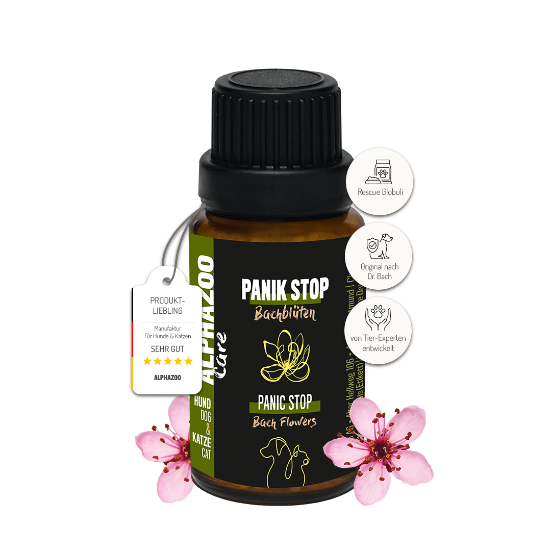 Panic Stop Bach Flowers 15g for Dogs & Cats I Rescue Drops Globules Panic-Stop Bach Flower Remedies – gentle support for anxiety and stress