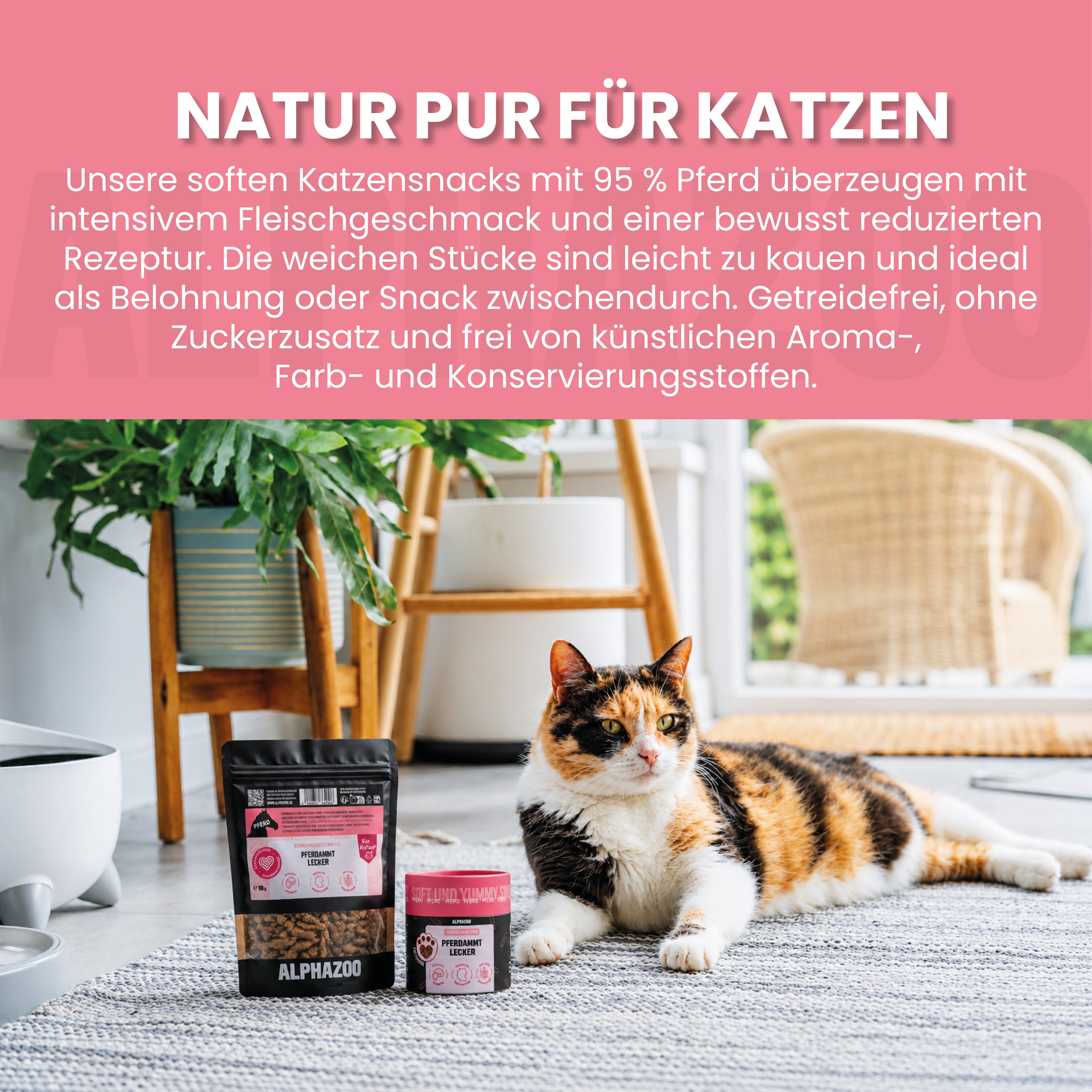 Pferdammt Lecker Pferdammt Lecker – Snack mit Pferd für Katzen