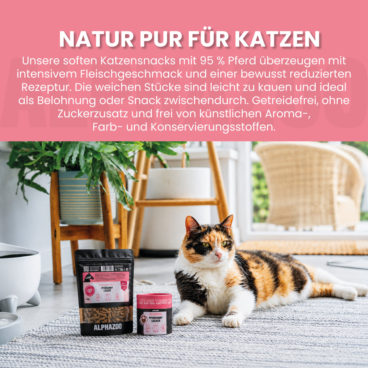 
                      Pferdammt Lecker Pferdammt Lecker – Snack mit Pferd für Katzen
                      