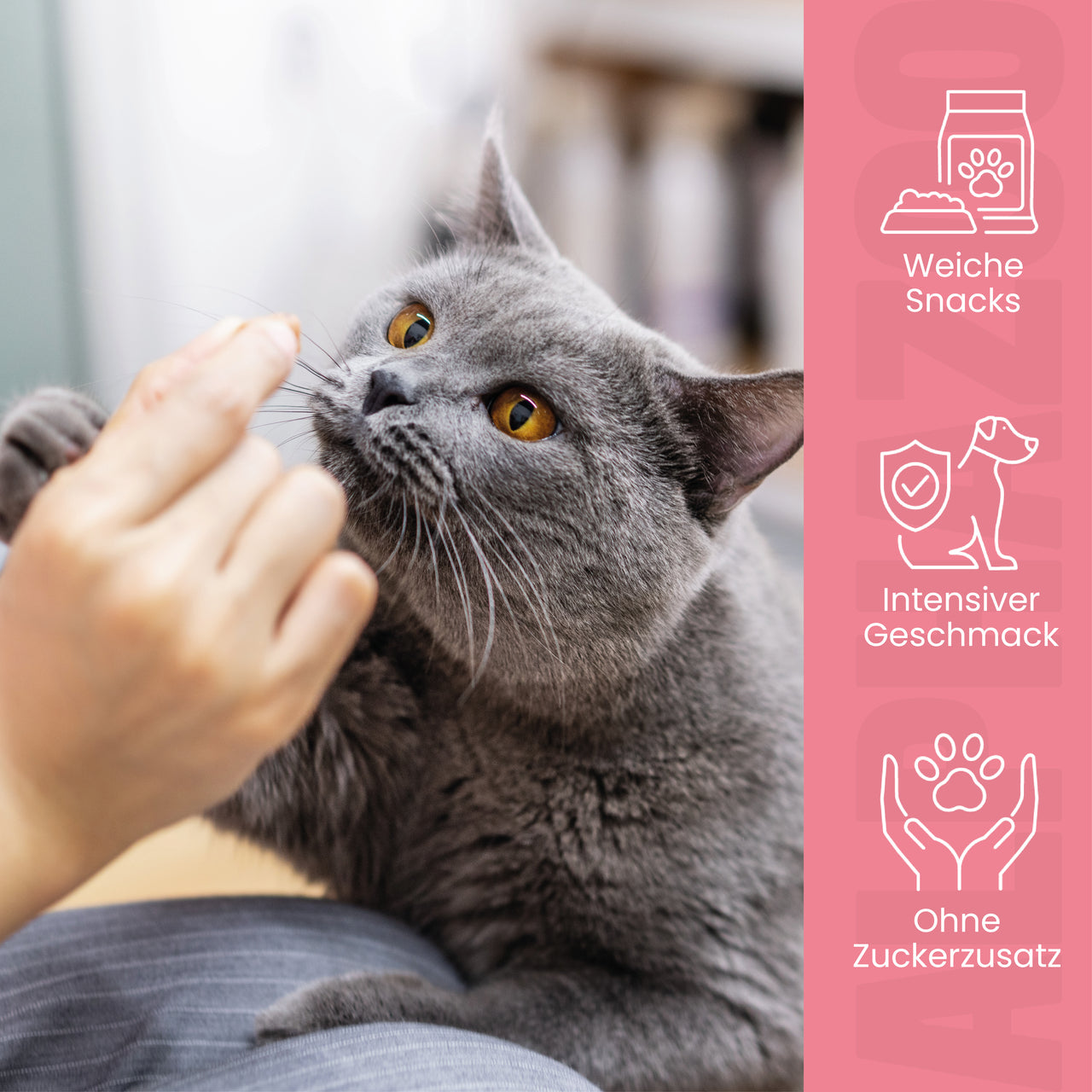
                      Pferdammt Lecker Pferdammt Lecker – Snack mit Pferd für Katzen
                      