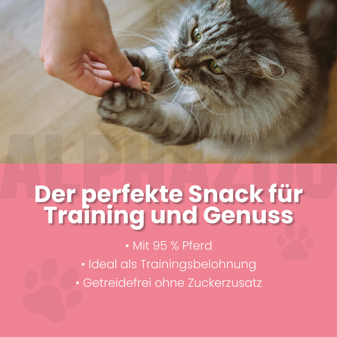 
                      Pferdammt Lecker Pferdammt Lecker – Snack mit Pferd für Katzen
                      