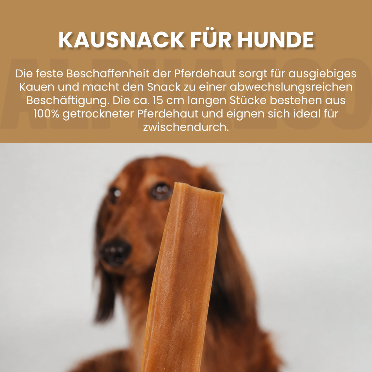 Pferdehaut