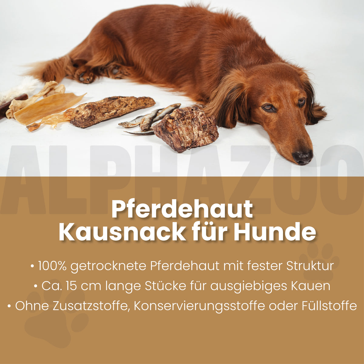Pferdehaut