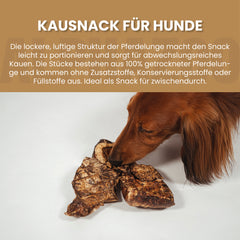 Pferdelunge