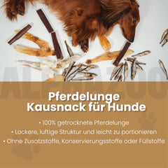 Pferdelunge