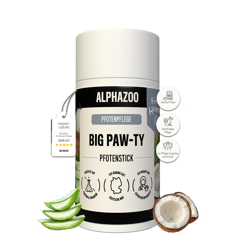 Big Paw-ty Pfotenpflege für Hunde