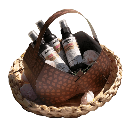 Picnic Basket Safety