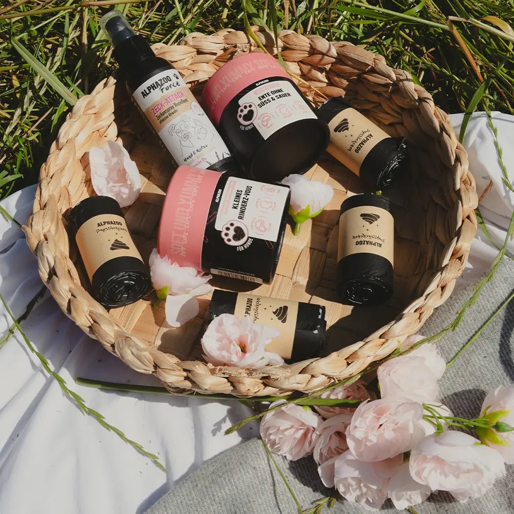 Picnic basket Summer Time