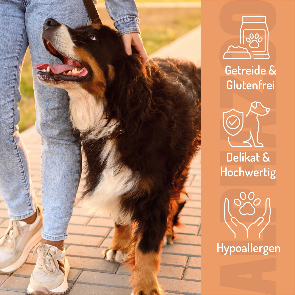 Tasting feast wet food 6 x 400g for dogs I beef, chicken & horse trial package