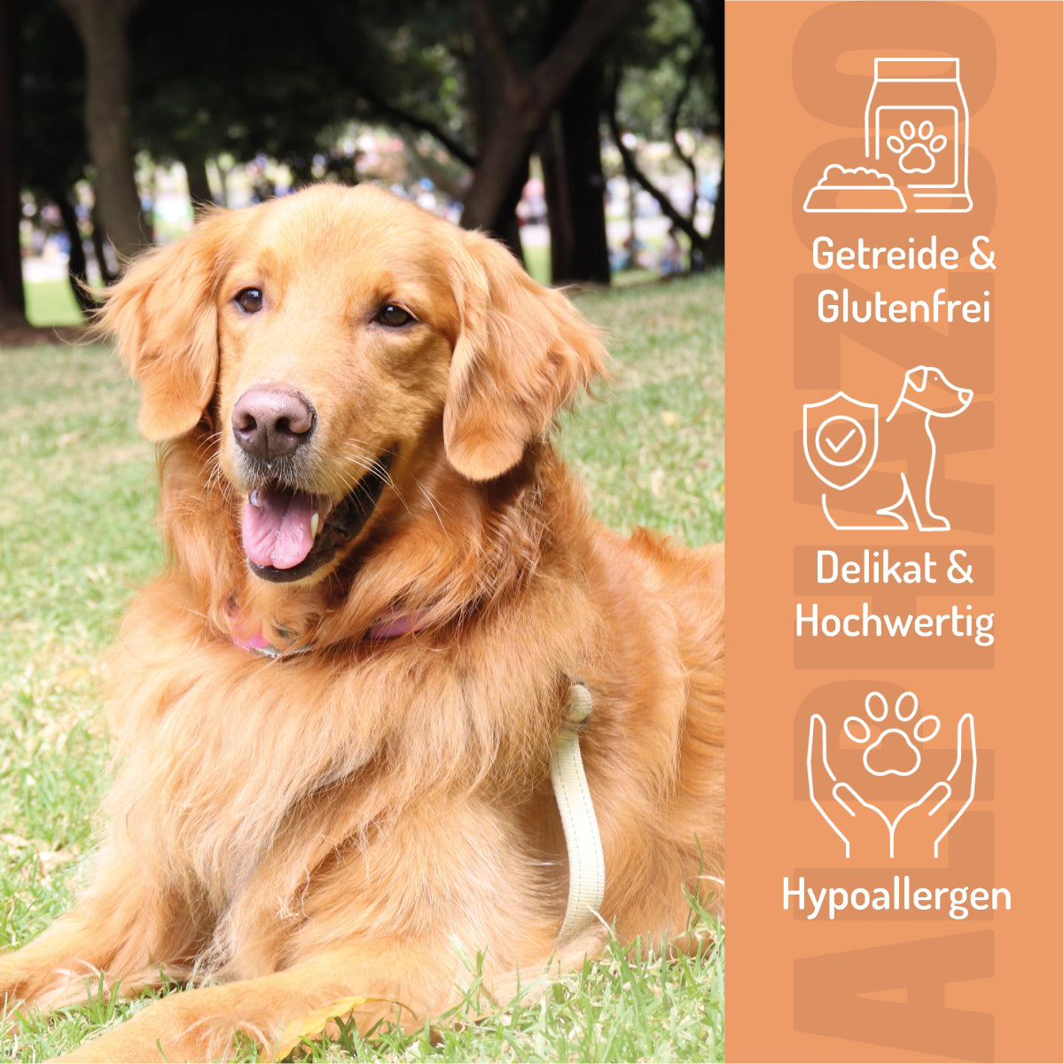 Tasting feast wet food 6 x 400g for dogs I beef, chicken & horse trial package