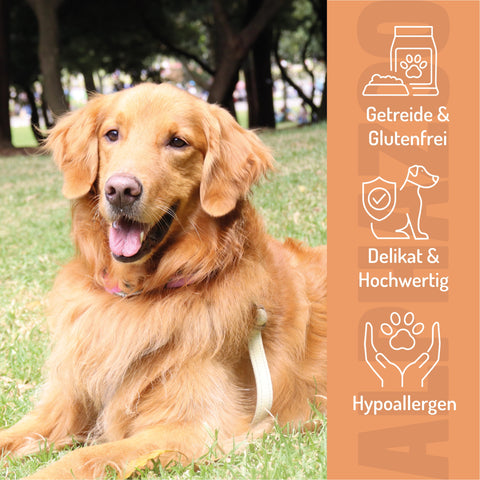 Tasting feast wet food 6 x 400g for dogs I beef, chicken & horse trial package