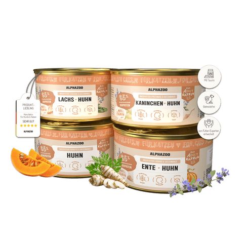 Probierschmaus Katze 4 x 200g alphazoo Probierschmaus Nassfutter für Katzen - 4 leckere Sorten