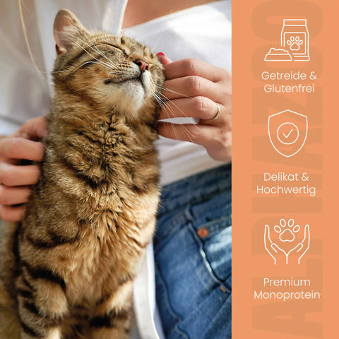 Probierschmaus Katze 4 x 200g alphazoo Probierschmaus Nassfutter für Katzen - 4 leckere Sorten