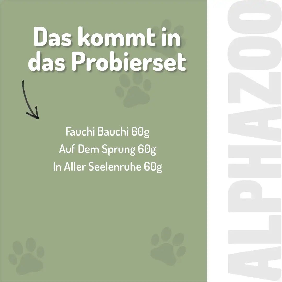 Sample Set Function Snacks I Bundle