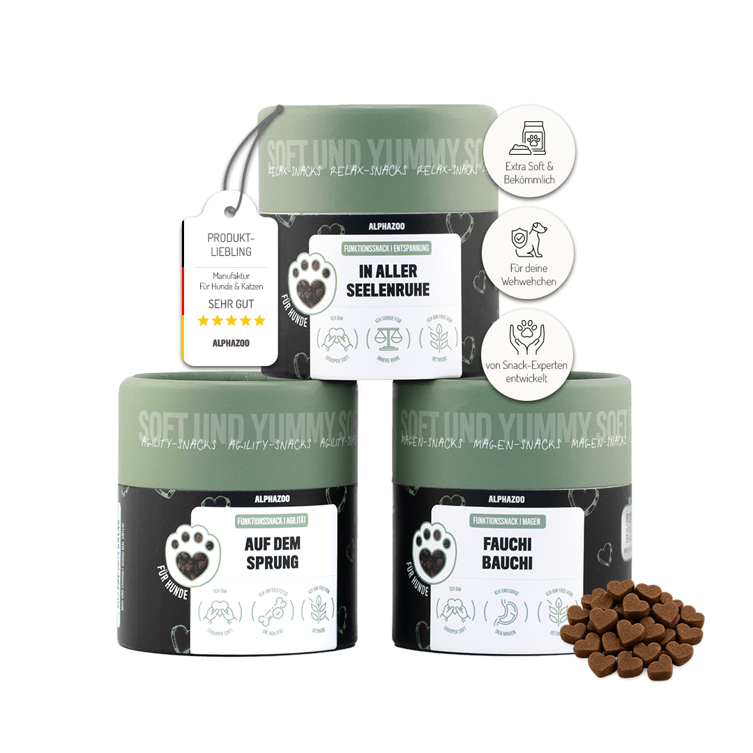 Sample Set Function Snacks I Bundle