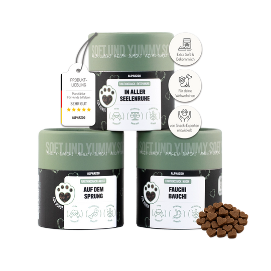 Sample Set Function Snacks I Bundle