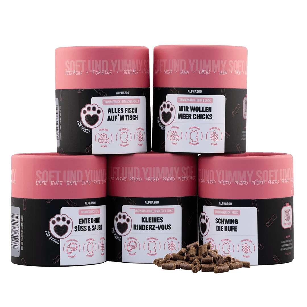 
                    Probierset Leckerli Hund
                    