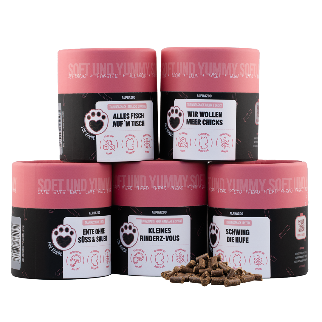 Probierset Leckerli Hund