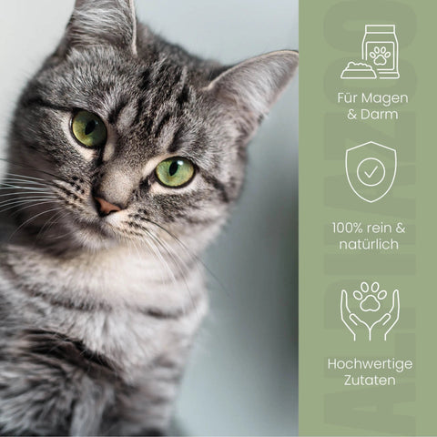 Pupsbremse Futteröl für Katzen