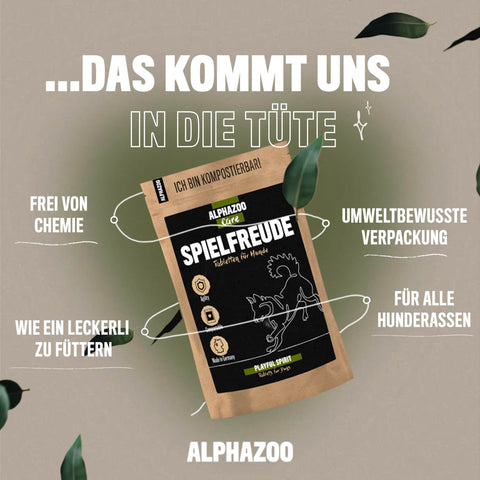 Spielfreude Tabletten