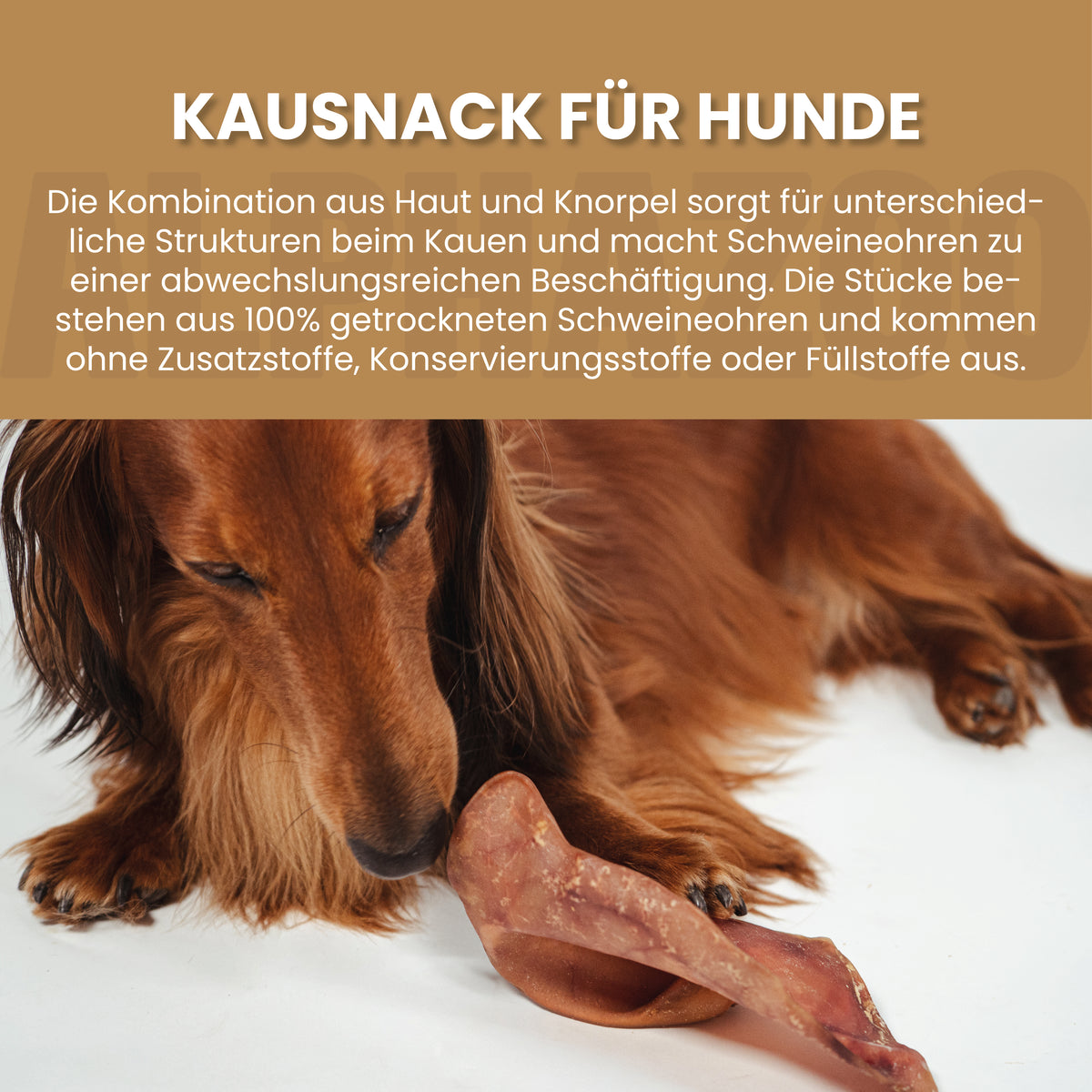 Schweineohren