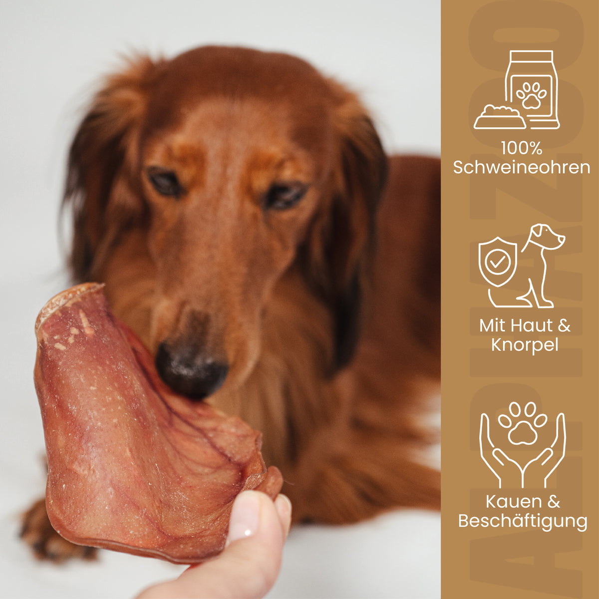 Schweineohren